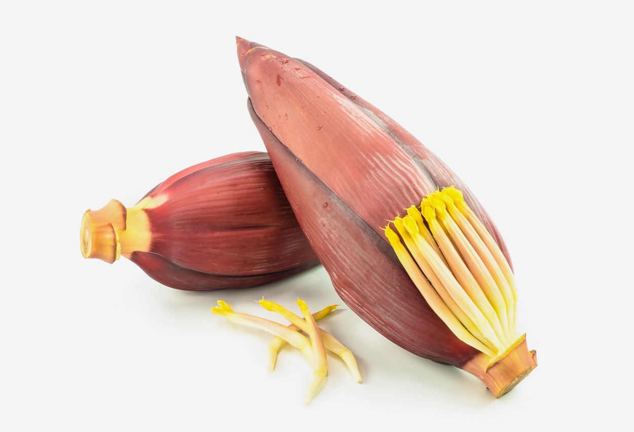 plantain flower